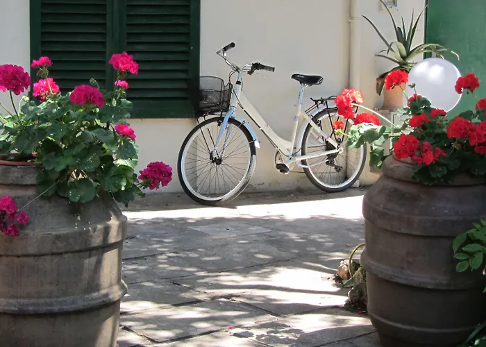 Hotel Ausonia